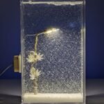 snow night flow hemp night light snow street